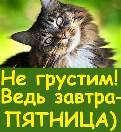 Чудесные поздравления для Картинки и открытки с четвергом