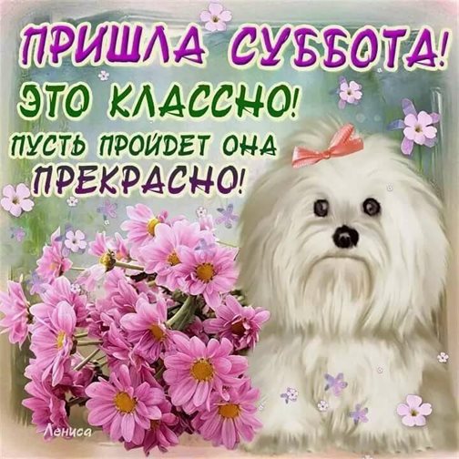 С наилучшими пожеланиями