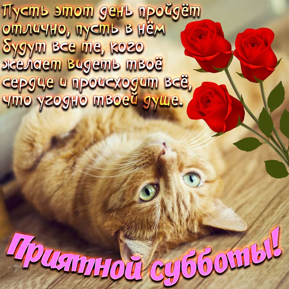 От сердца — Красивые картинки с субботой, выходным днем