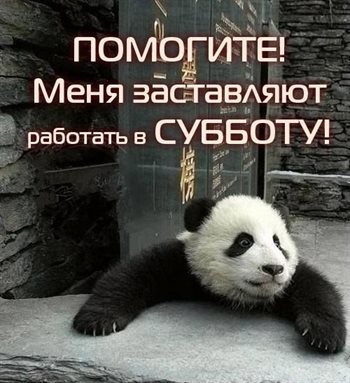 Немного тепла и заботы