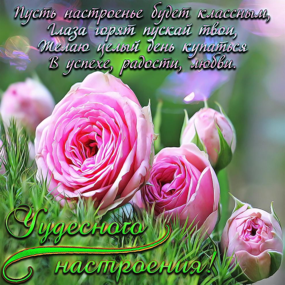 С праздником!