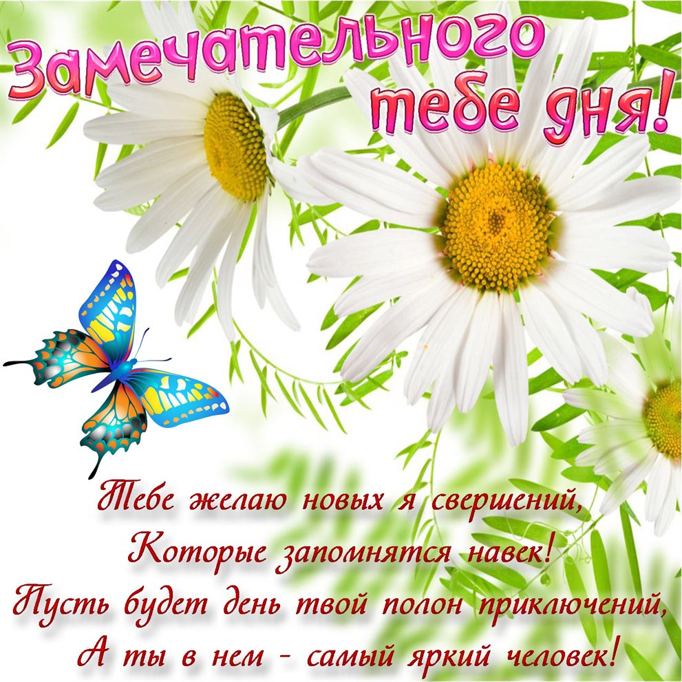Пусть радость будет с вами