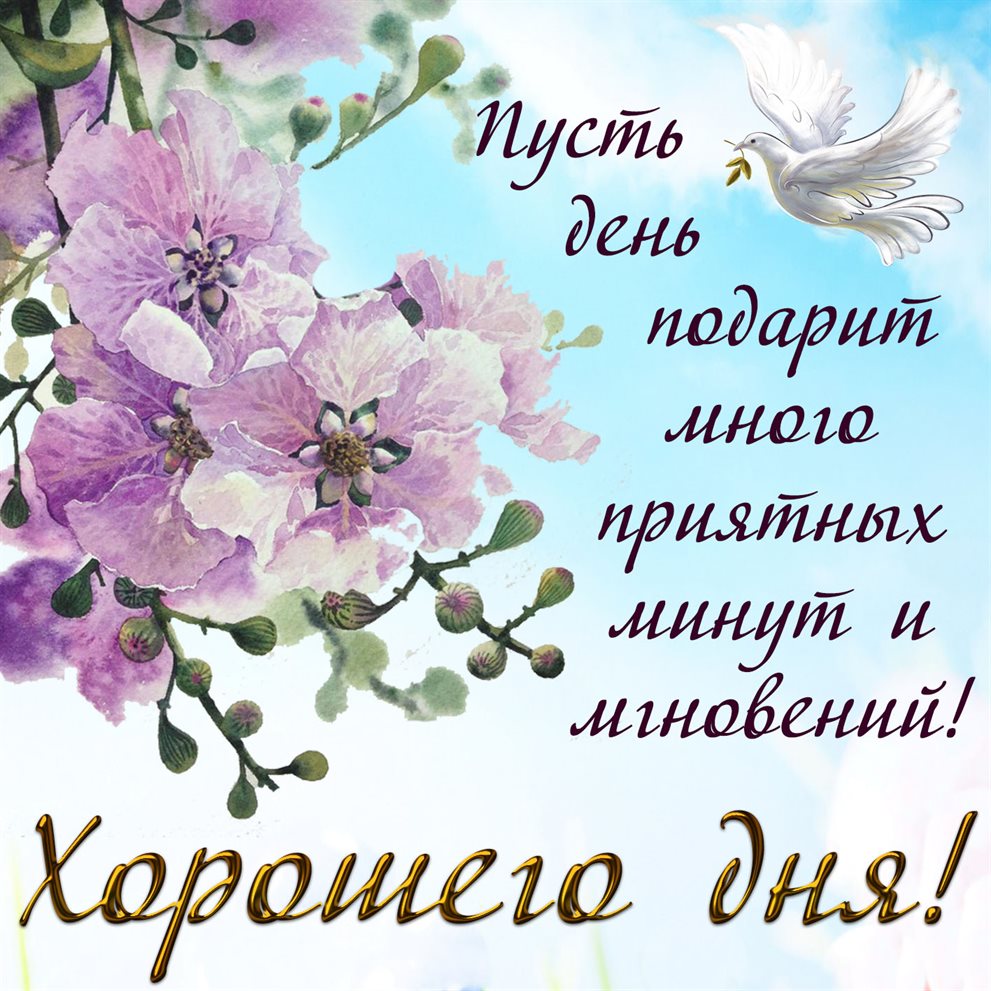 Яркие пожелания для Открытки с пожеланиями хорошего дня