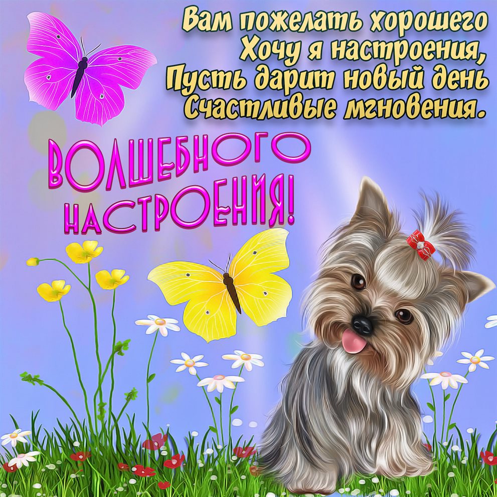 Немного волшебства в ваш день