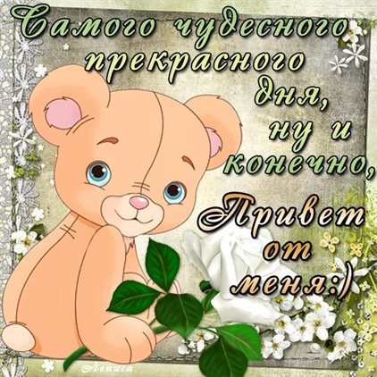 Нежность и внимание