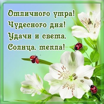 Луч света в ваш день