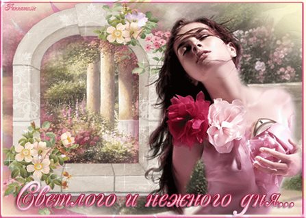 Искренние пожелания