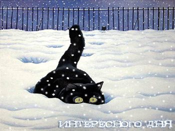 Светлые пожелания