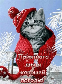 Пусть улыбка не сходит с лица