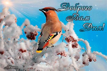 Яркие пожелания для Открытки хорошего зимнего дня