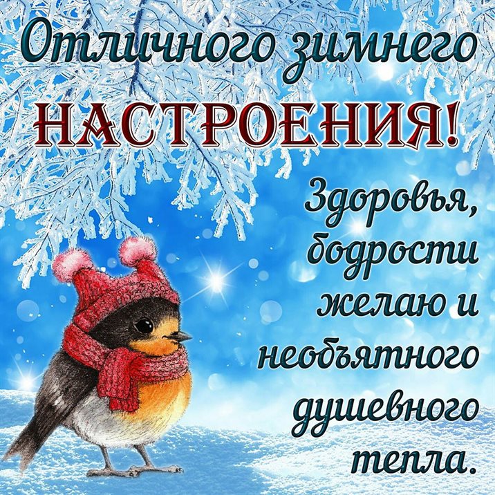 Немного тепла и заботы