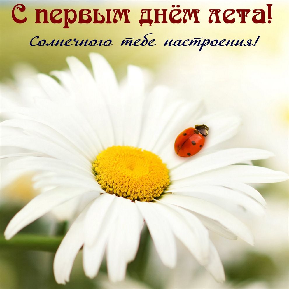 Открытки с добрым июньским днем — прекрасный выбор!