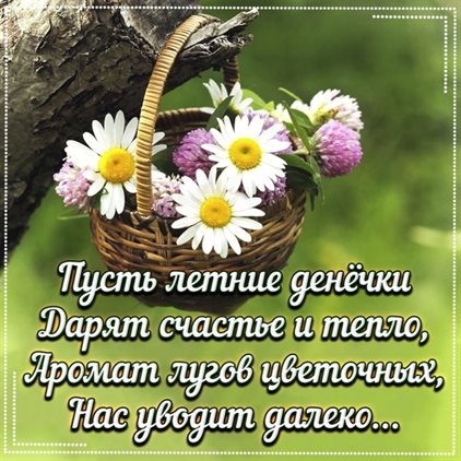 Милая открытка для вас