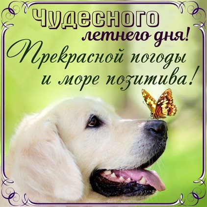 Пусть день будет незабываемым