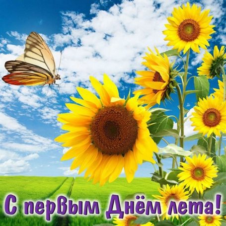 Нежность и внимание