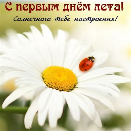 Пусть радость будет с вами