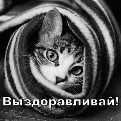 Луч света в ваш день