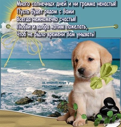 Радостная открытка