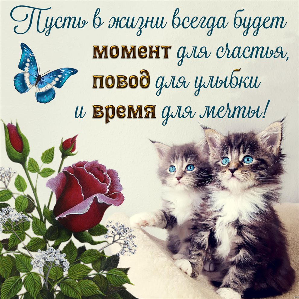 Открытки с пожеланиями добра — прекрасный выбор!