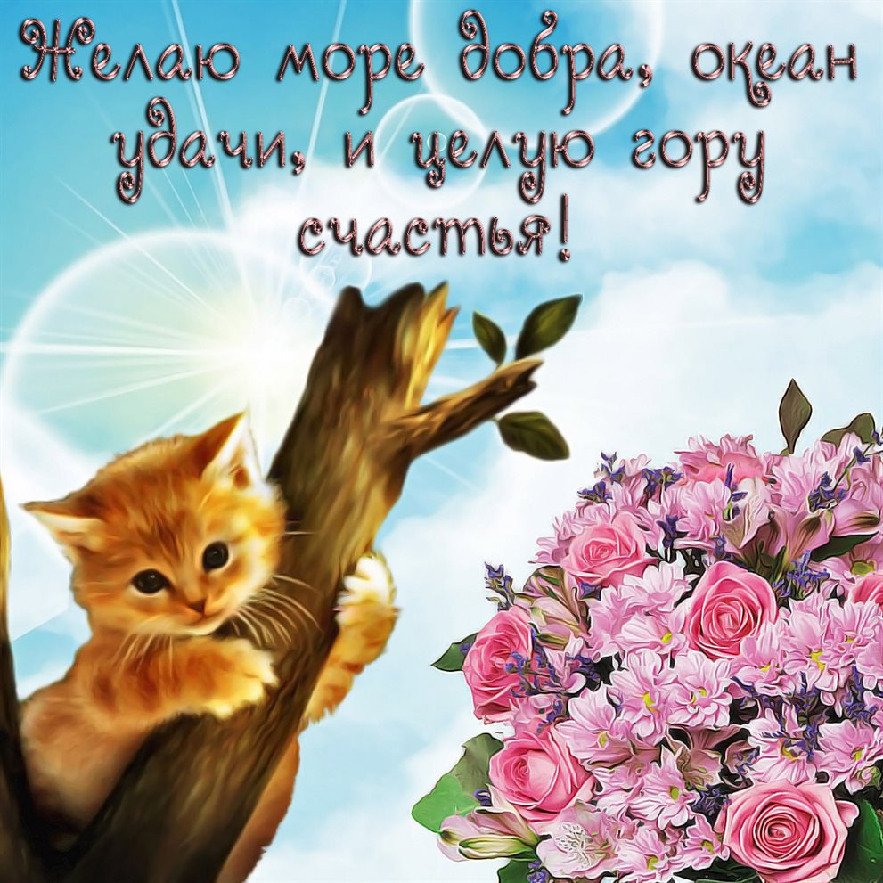 Пусть день будет незабываемым