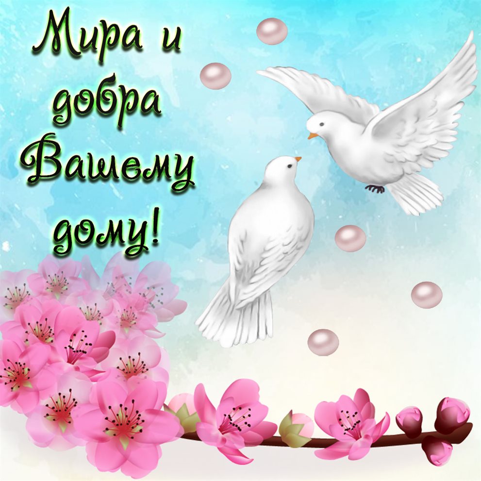 Пусть мечты сбываются