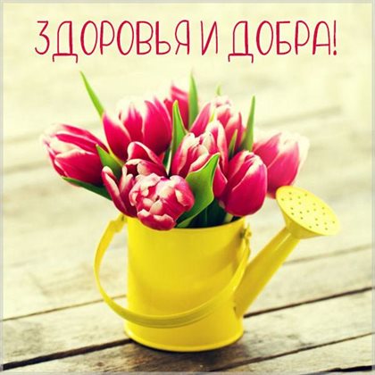 Немного волшебства в ваш день