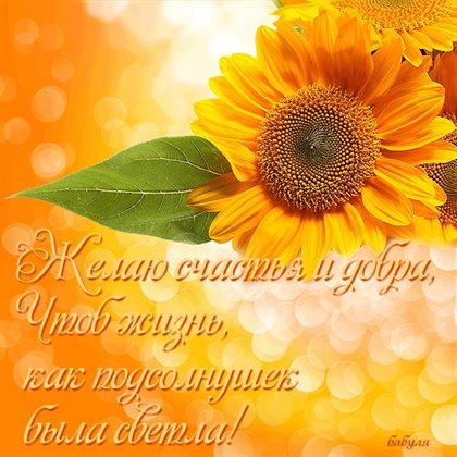 Яркие пожелания для Открытки с пожеланиями добра