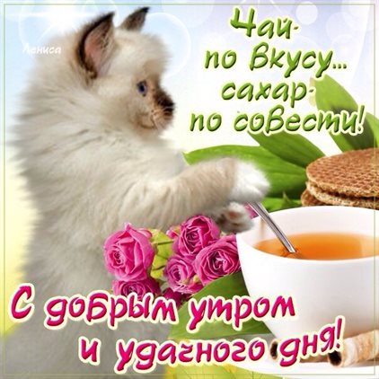 Яркие пожелания для Открытки с добрым утром
