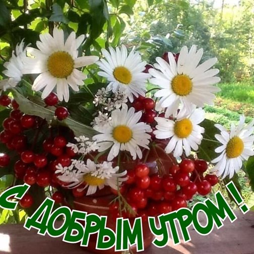 Милая открытка для вас