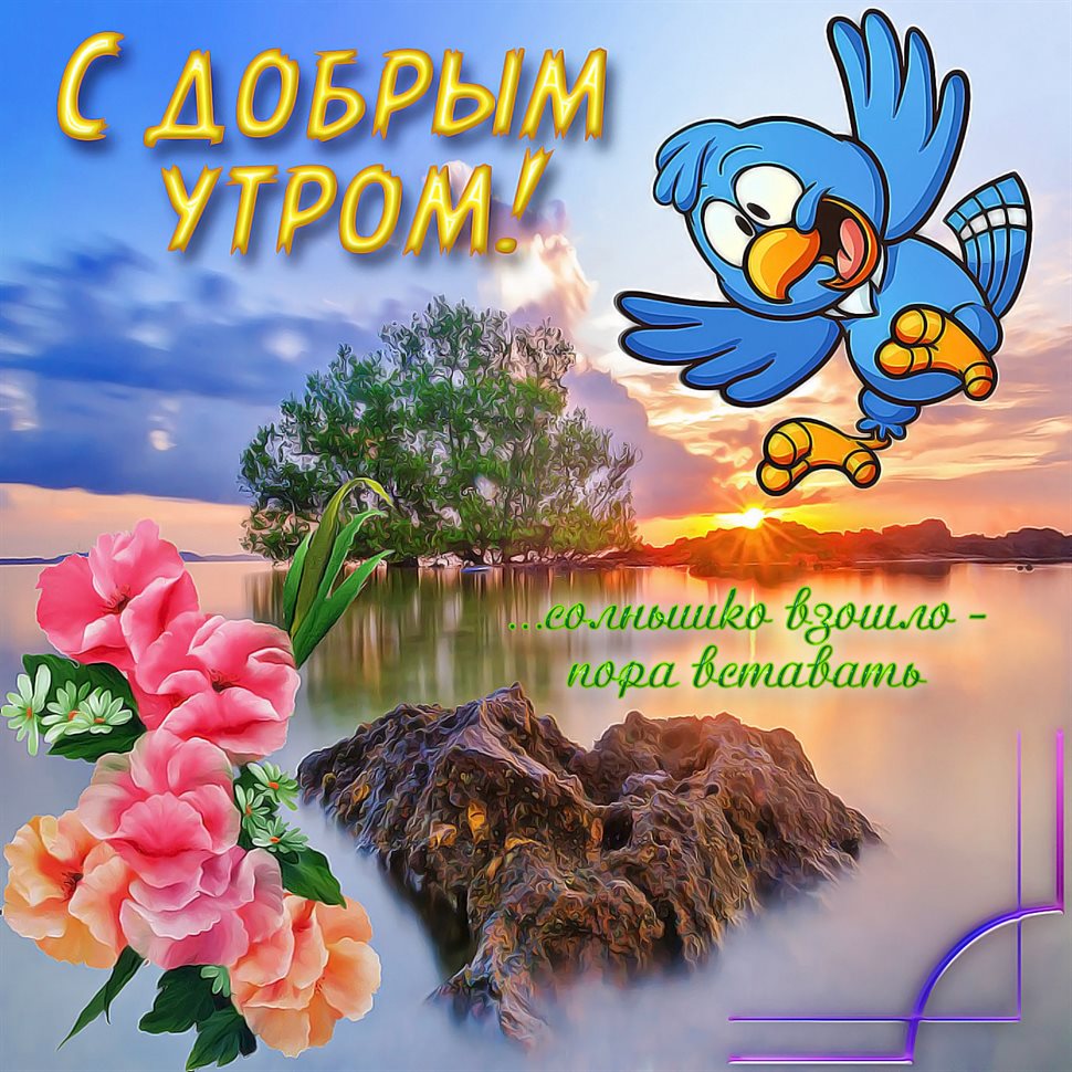 Искренние пожелания