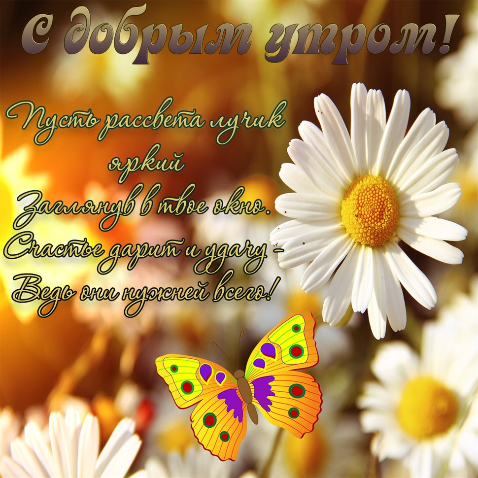 Подарок в виде открытки