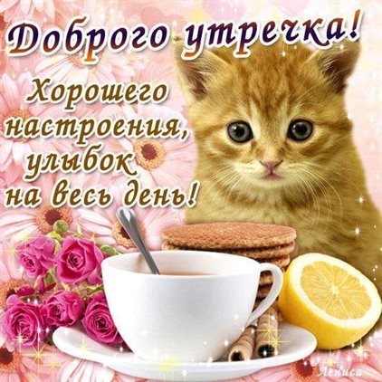 Подарите улыбку: Открытки с добрым утром