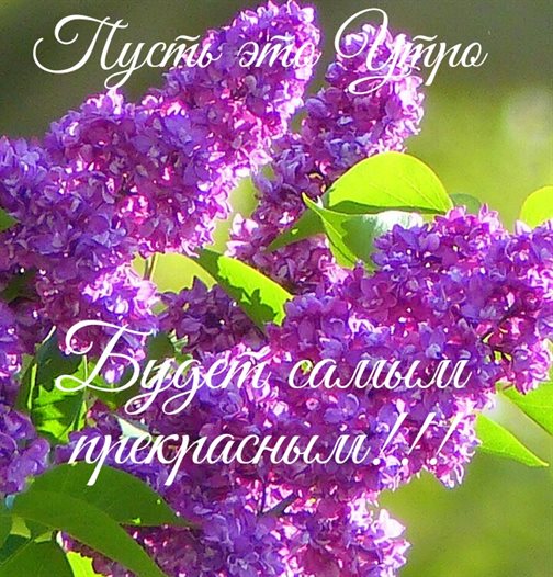 От всей души и сердца