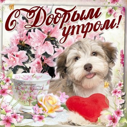 Пусть каждый день дарит счастье