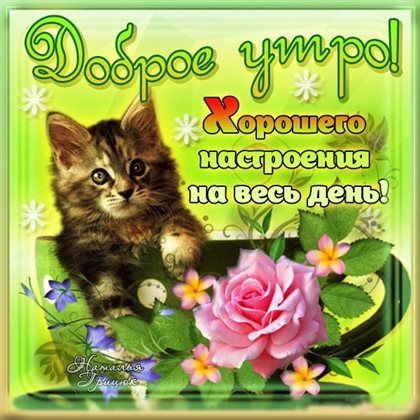 Яркие пожелания для Скачать открытку с добрым утром