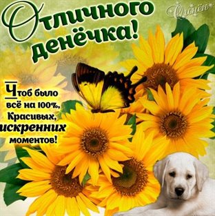 Тепло и улыбки