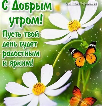 Доброта и забота