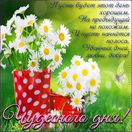 С наилучшими пожеланиями