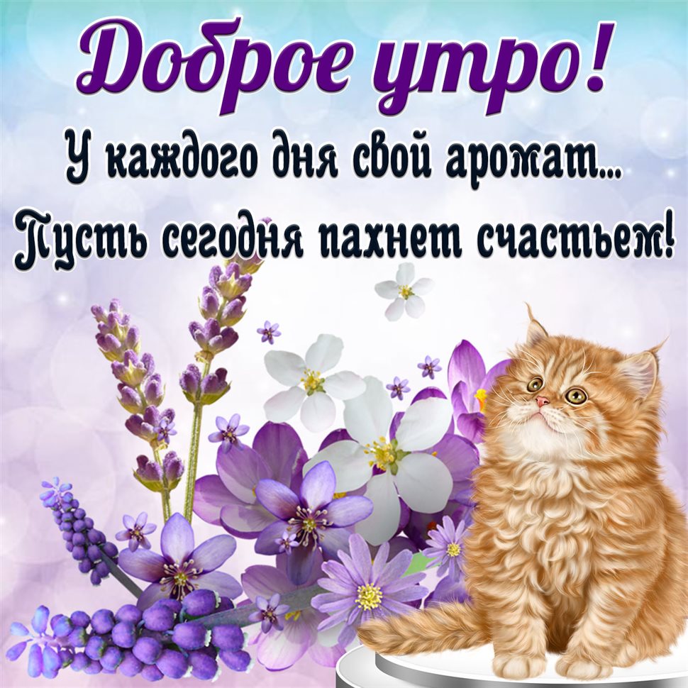 Пусть улыбка не сходит с лица