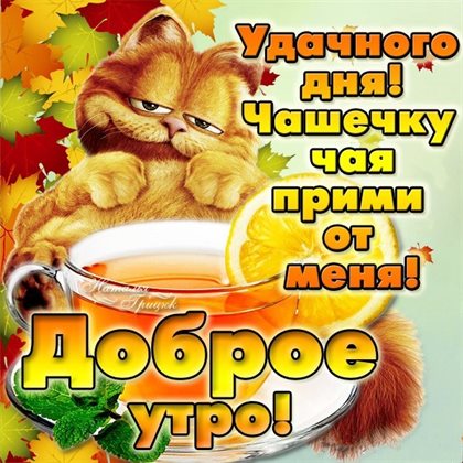 Немного волшебства в ваш день