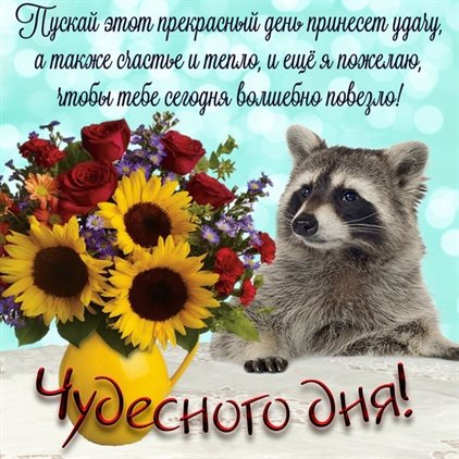 Поздравляем!