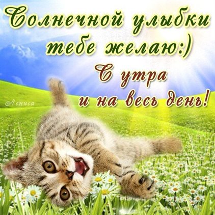 Доброта и забота