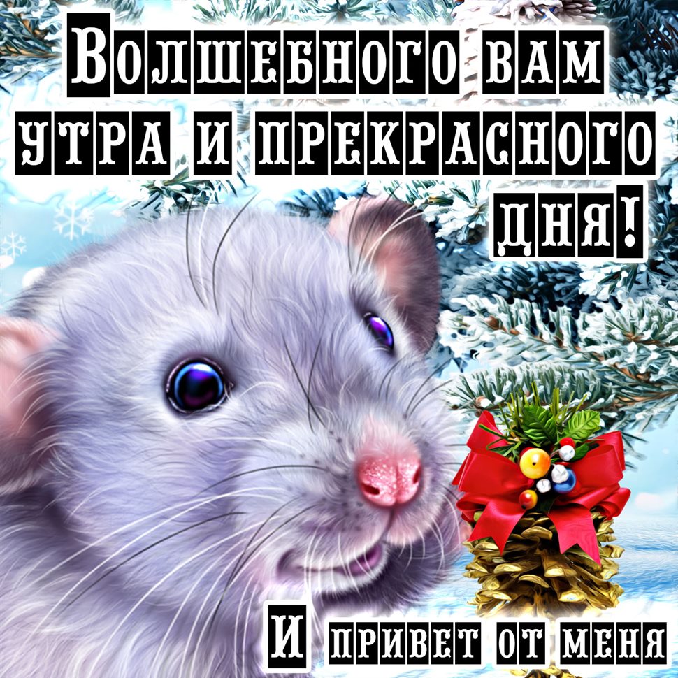 Немного волшебства в ваш день