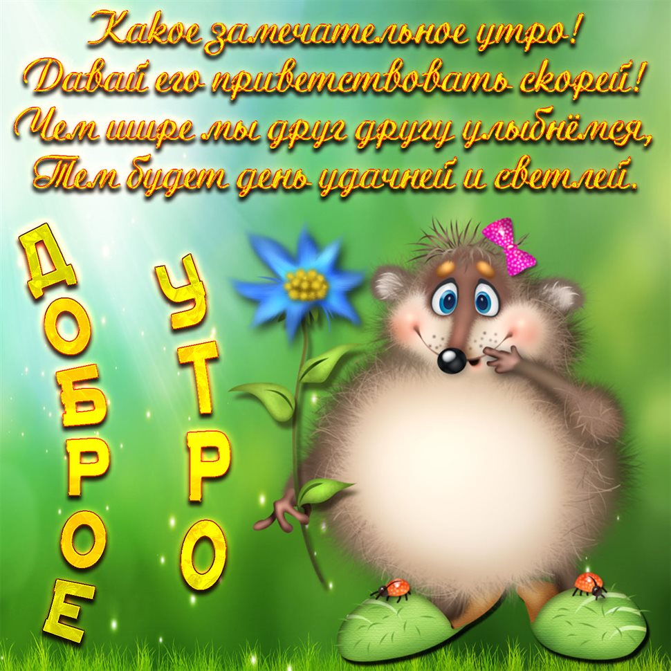 Хорошего настроения сегодня
