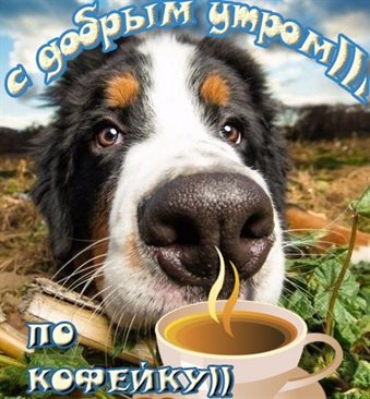 Пусть радость будет с вами