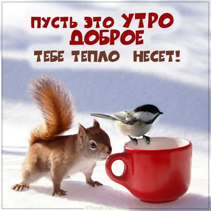 Лучшие пожелания