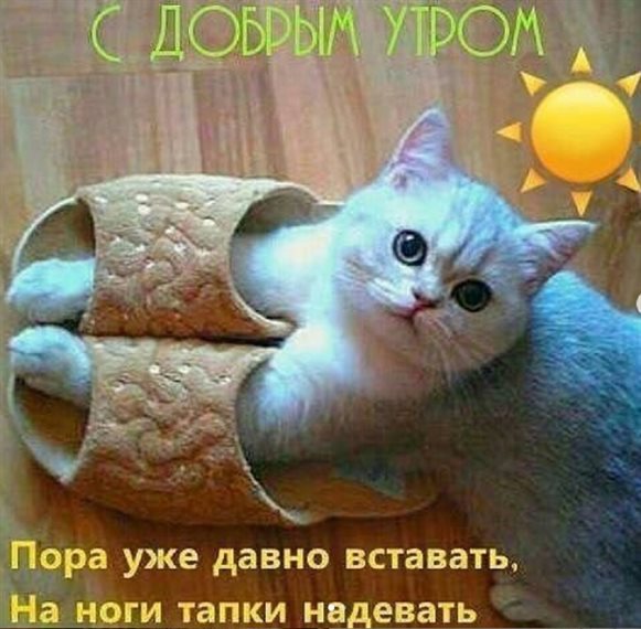 Счастья и удачи