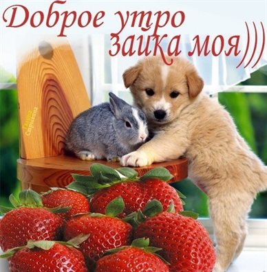 Поздравляем!