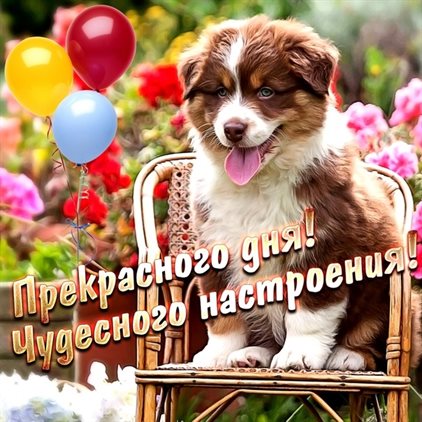 Искренние пожелания