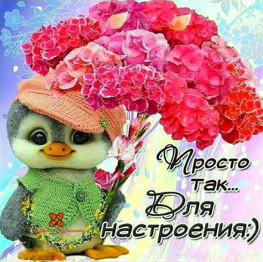 Нежные поздравления для Открытки с добрым утром с животными
